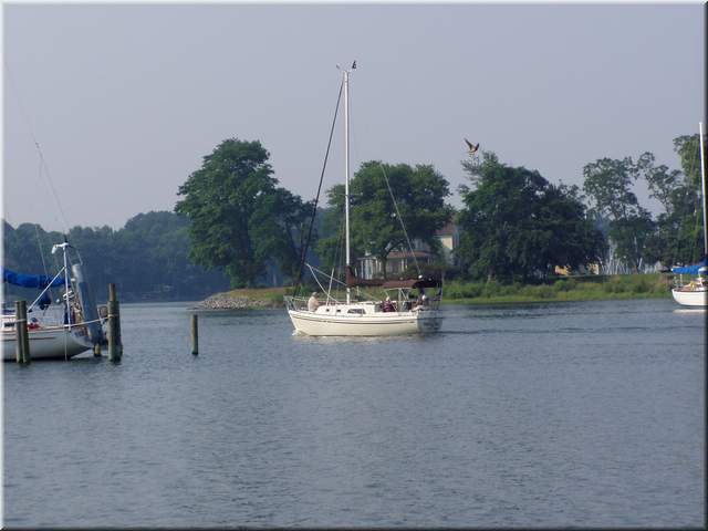 p1010385_1.JPG