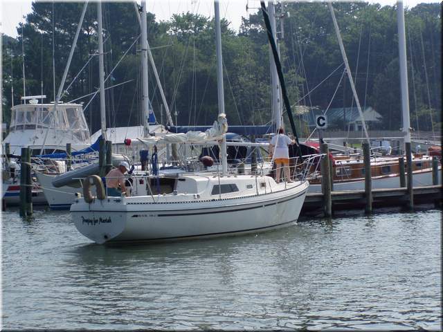 p1010390_1.JPG
