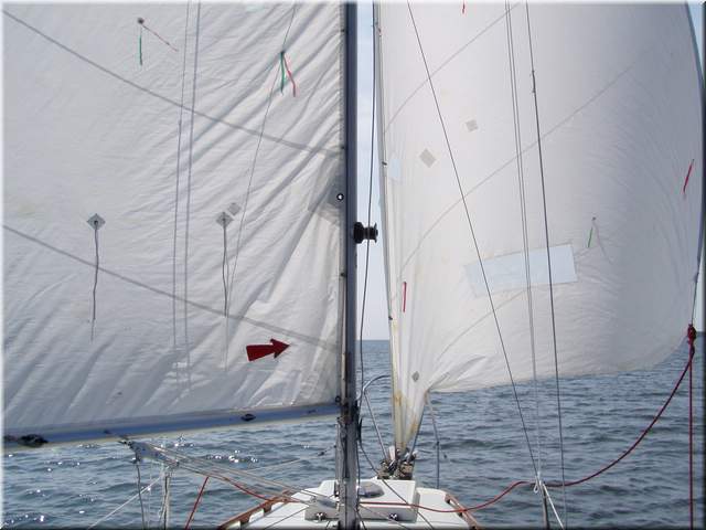 p1010431.JPG