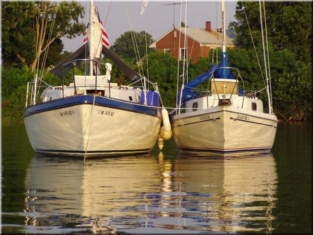 p1010447_1.JPG