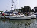 p1010367.JPG