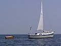 p1010368_1.JPG