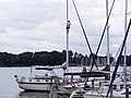 p1010371.JPG
