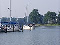 p1010386_1.JPG