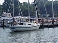 p1010390_1.JPG