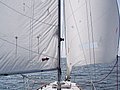 p1010431.JPG