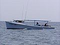 p1010440.JPG