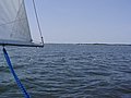p1010442.JPG