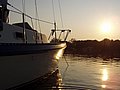 p1010454.JPG