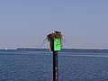p1010479.JPG