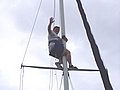 robin mast 2.JPG