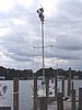 terry mast 4.JPG