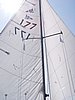 wing and wing 2.JPG