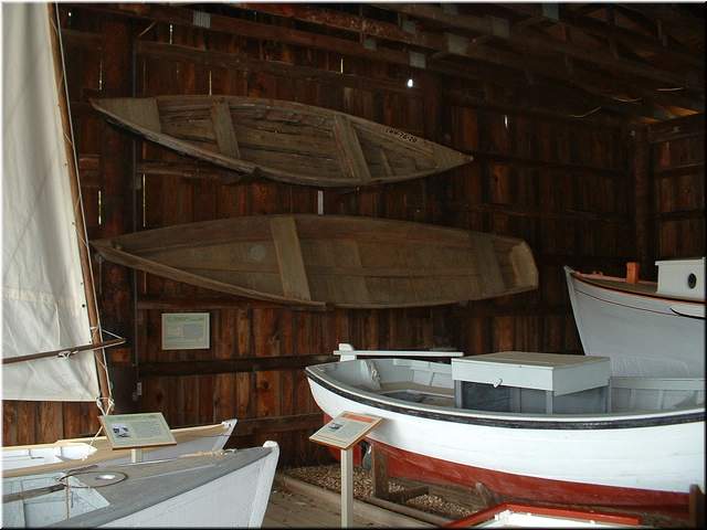 Chesapeake 048.jpg