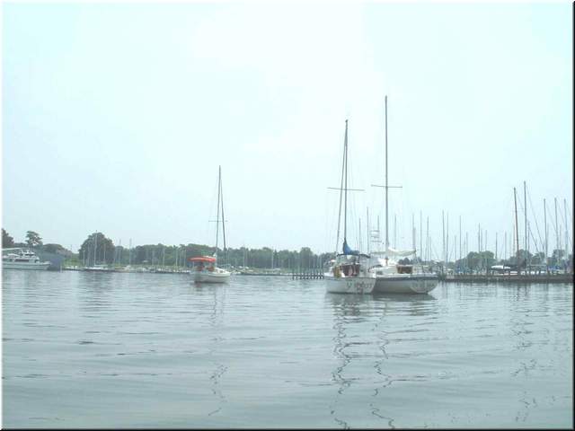 Chesapeake 054.jpg