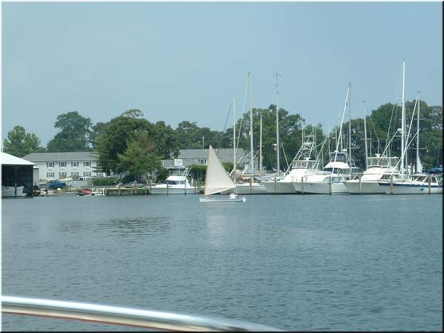 Chesapeake 055.jpg