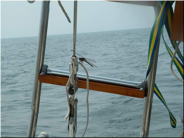 Chesapeake 112.jpg