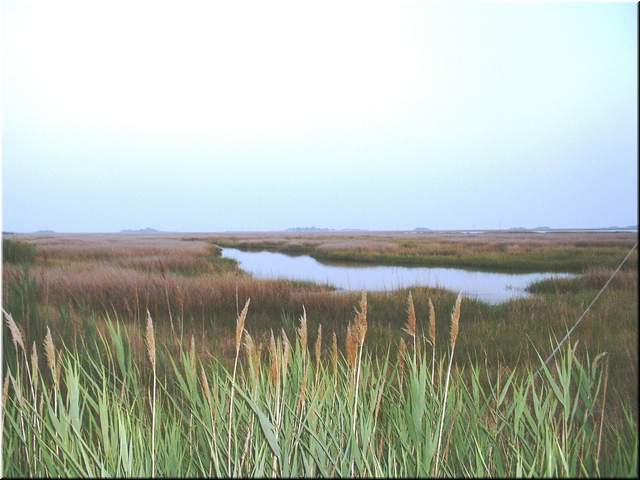 Chesapeake 120.jpg