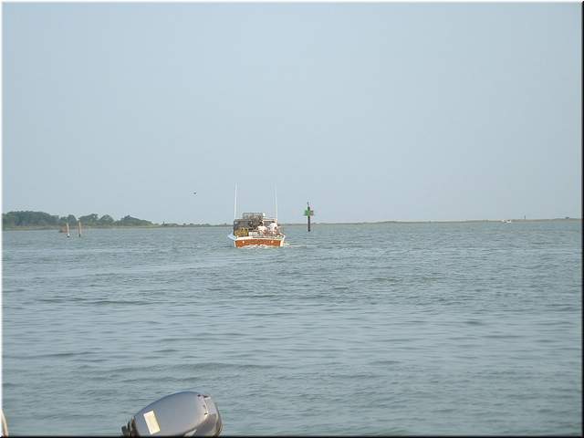 Chesapeake 126.jpg