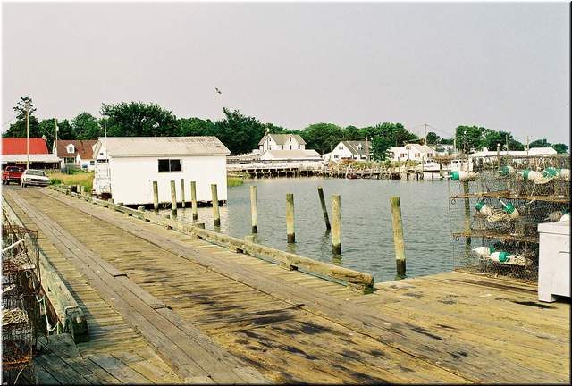 Chesapeake 132.jpg