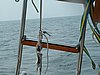 Chesapeake 112.jpg
