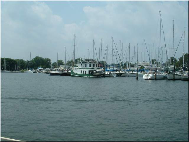 Chesapeake 058.jpg