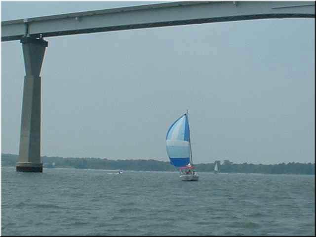 Chesapeake 073.jpg