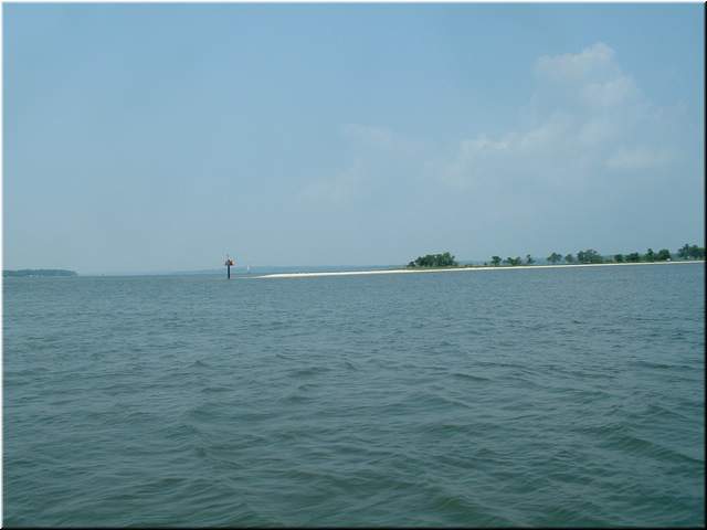 Chesapeake 076.jpg