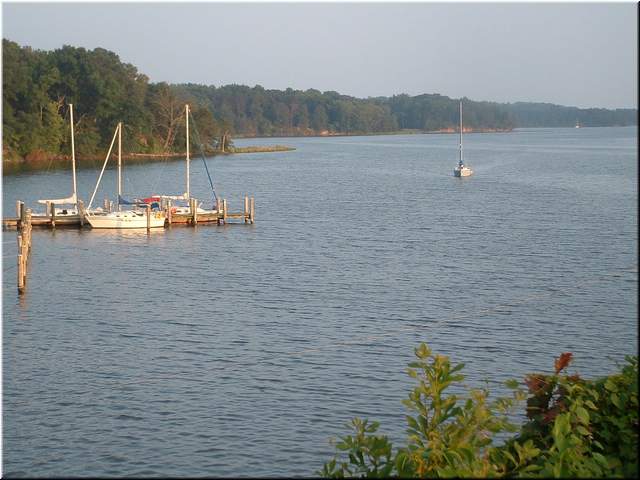 Chesapeake 094.jpg