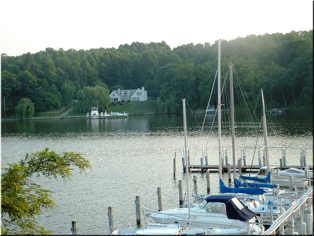 Chesapeake 095.jpg