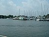 Chesapeake 058.jpg
