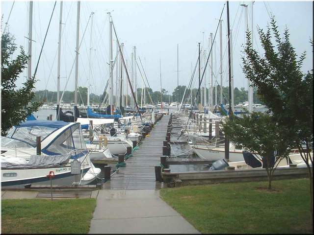 Chesapeake 002.jpg