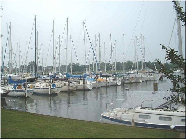 Chesapeake 003.jpg