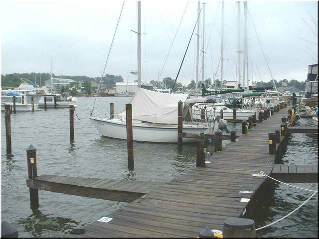 Chesapeake 009.jpg
