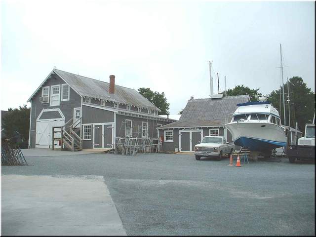 Chesapeake 028.jpg
