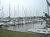 Chesapeake 003.jpg