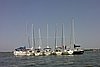2005Raftup 019.jpg