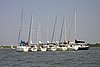 2005Raftup 020.jpg