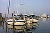 2005Raftup 066.jpg
