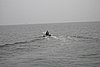 2005Raftup 109.jpg