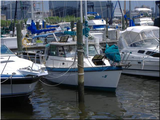 2005Raftup 132.jpg