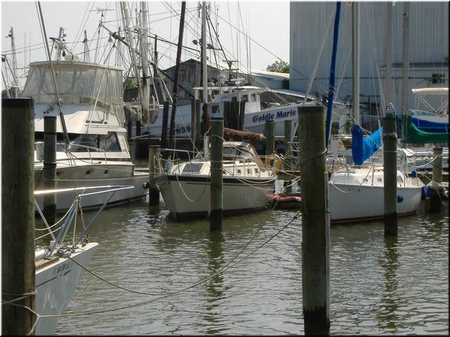 2005Raftup 141.jpg