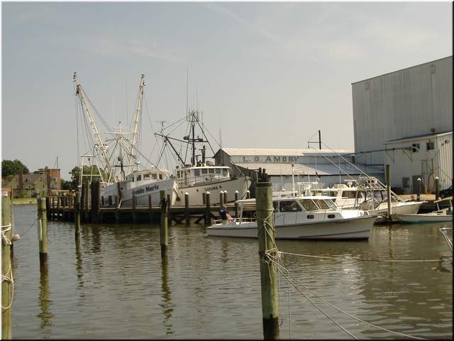 2005Raftup 142.jpg