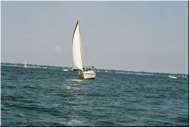 2005Raftup 264.jpg