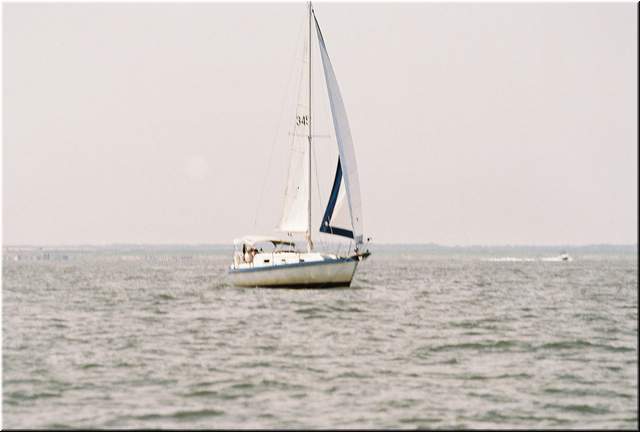 2005Raftup 266.jpg