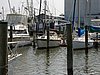 2005Raftup 141.jpg