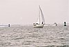 2005Raftup 268.jpg