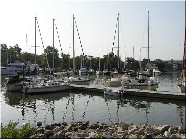 2005RaftupPeterson 003.jpg