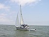 2005RaftupPeterson 021.jpg