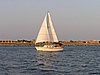 2005RaftupPeterson 041.jpg